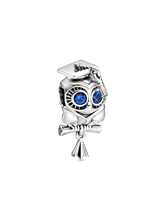 Wise Owl Graduation Charm