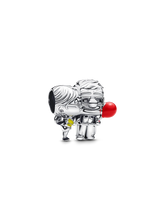 Disney Pixar Up Carl & Ellie Charm