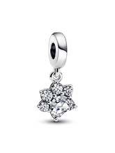 Sparkling Pet Paw Print Dangle Charm