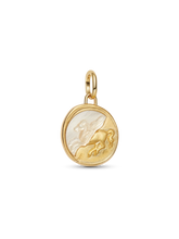Pegasus Medallion Charm