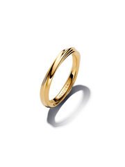 Twisted Ring