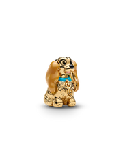 Disney Lady Charm
