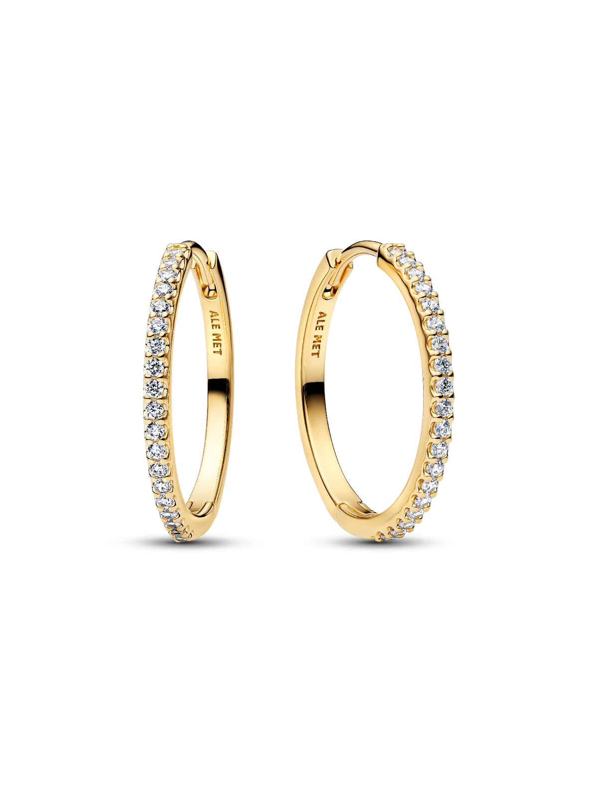 Sparkling Hoop Earrings