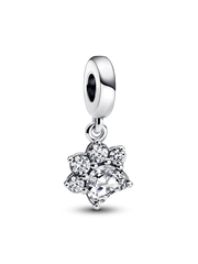 Sparkling Pet Paw Print Dangle Charm