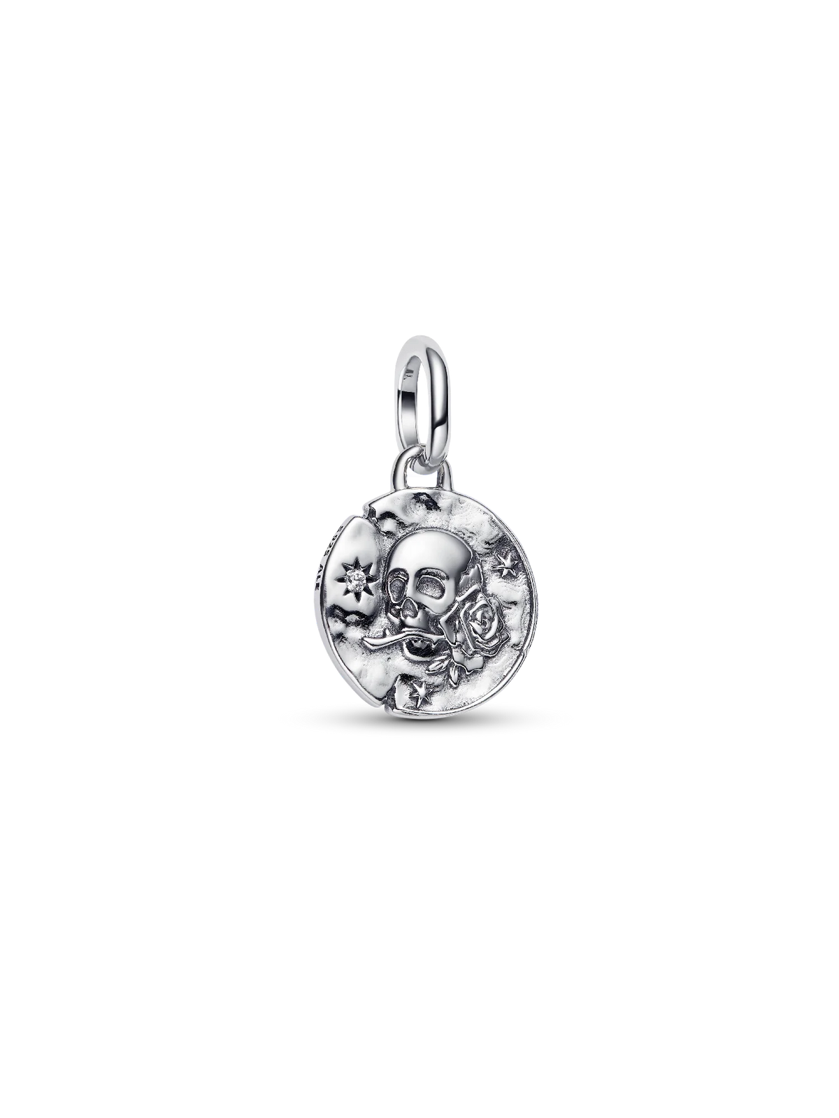 Skull Medallion Charm