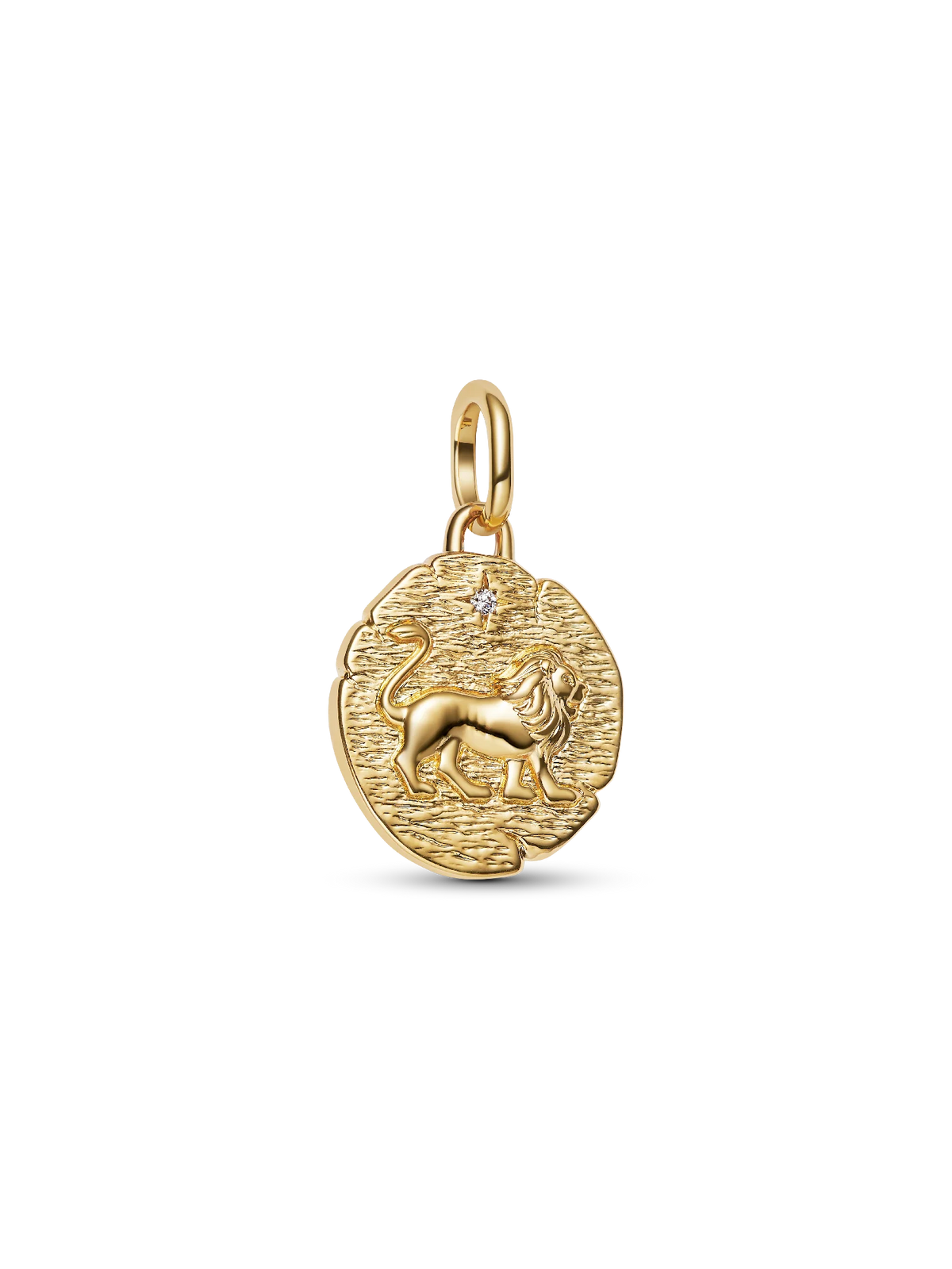 Lion Medallion Charm